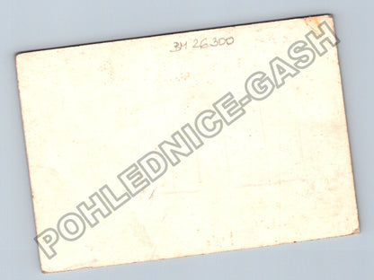Stará fotografie rodinná skupina u plotu (BM26300)