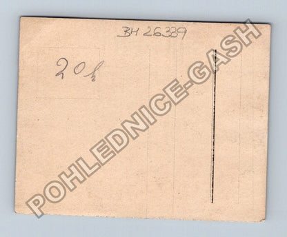 Pohlednice čtyři osoby v lese v dobovém oblečení (BM26339)