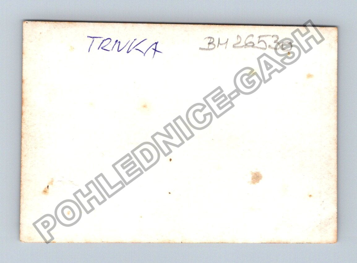 Stará fotografie skupina vojáků v interiéru (BM26530)
