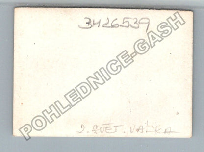Stará fotografie líbající se pár venku (BM26539)