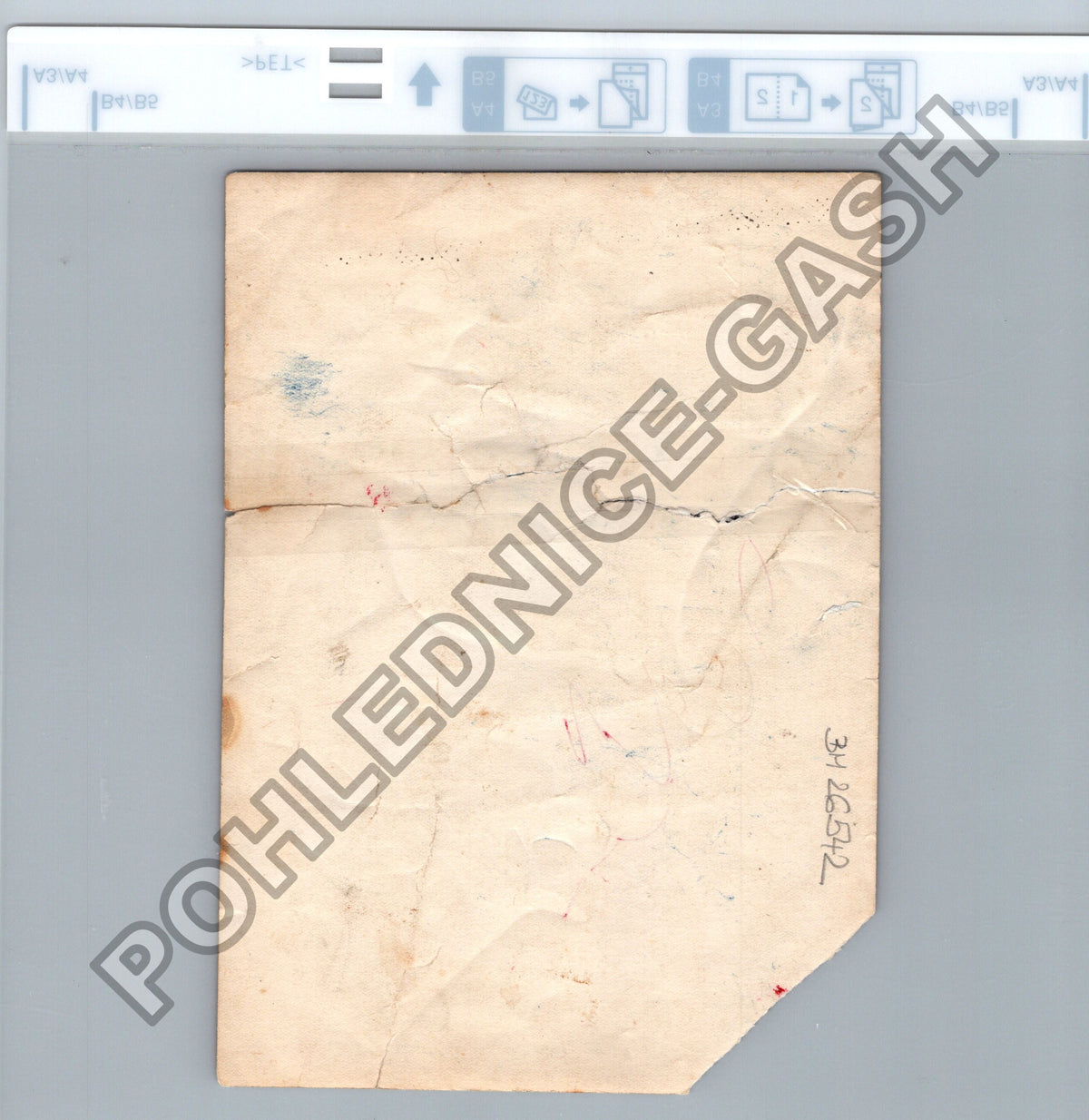 Stará fotografie ženy v kroji (BM26542)