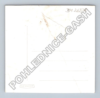 Pohlednice svatební nevěsta v parku (BM26578)