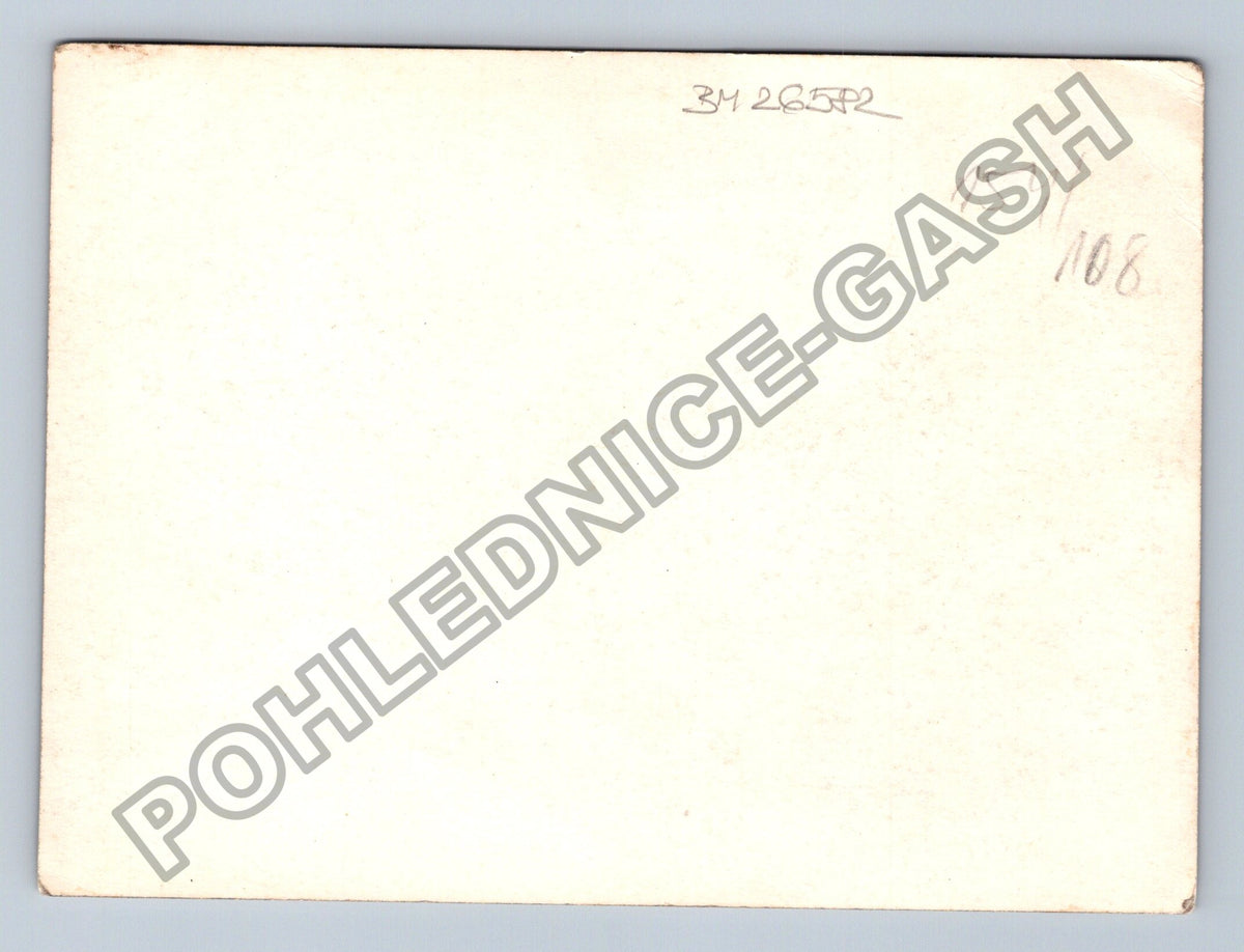Stará fotografie shromáždění lidí s květinami (BM26582)