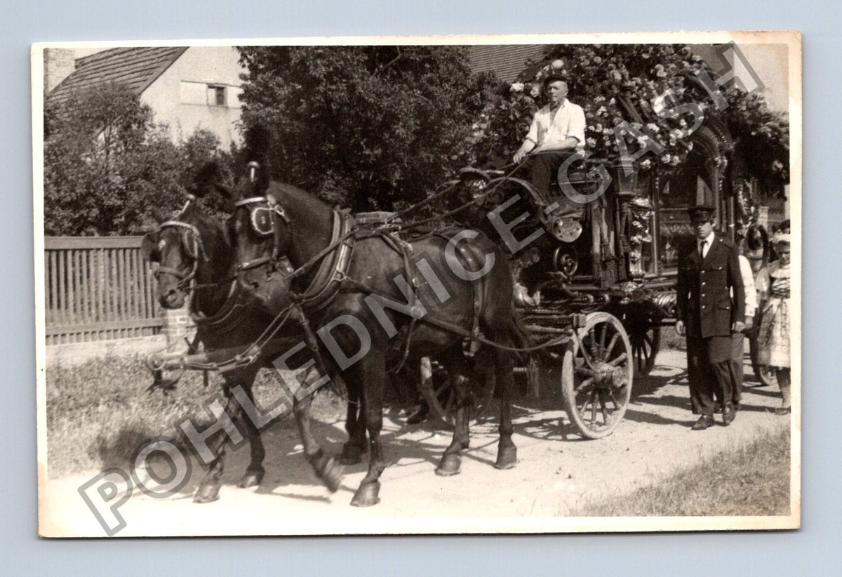Stará fotografie pohřební vůz s koňmi (BM26590)