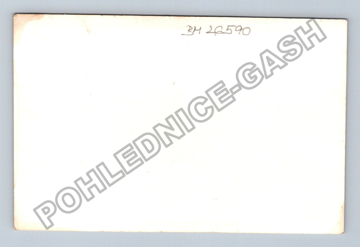 Stará fotografie pohřební vůz s koňmi (BM26590)