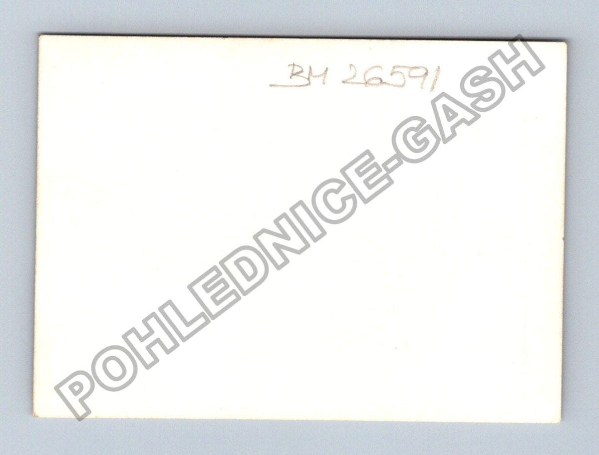 Stará fotografie náhrobek s portréty rodiny Brožek (BM26591)