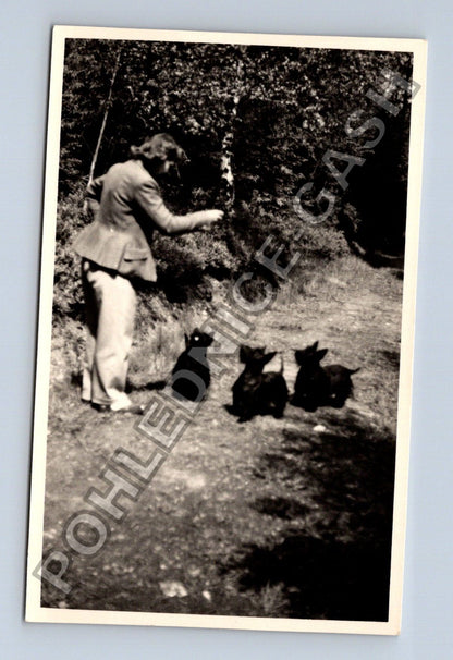 Stará fotografie žena se třemi kočkami v přírodě (BM26599)