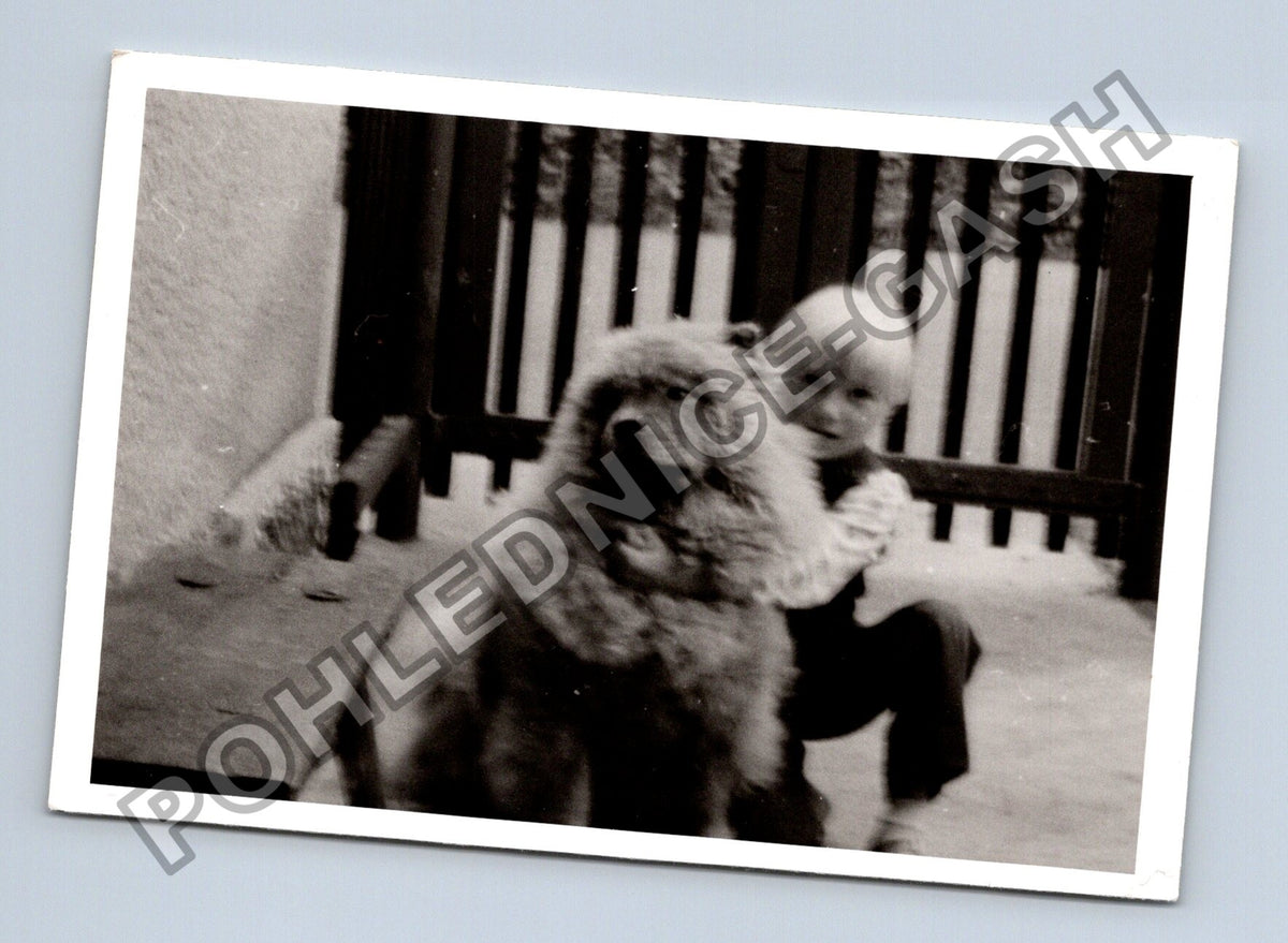 Stará fotografie dítě s psem (BM26617)