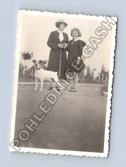 Stará fotografie dvě ženy se psem 1935 (BM26619)