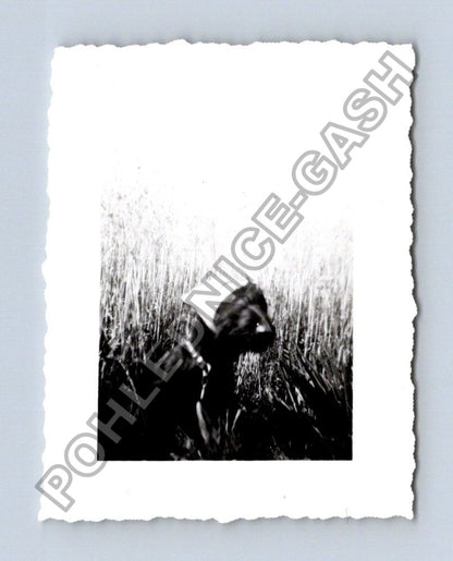 Stará fotografie abstraktní motiv 1948 (BM26622)