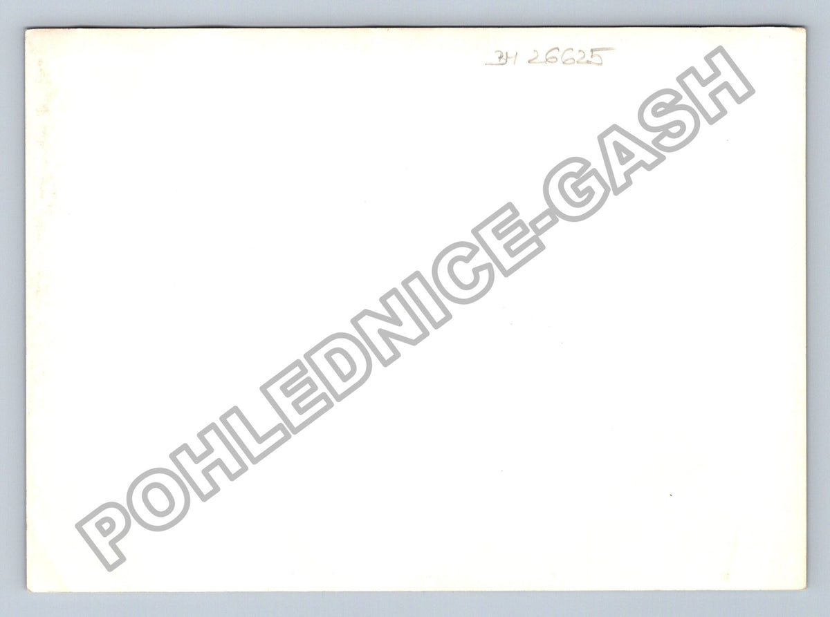 Stará fotografie kočka na dřevěné konstrukci (BM26625)