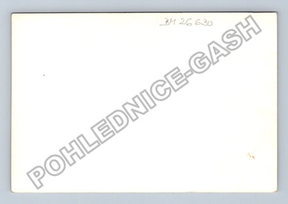 Stará fotografie černá kočka (BM26630)