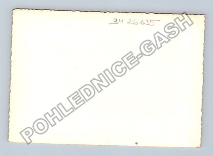 Stará fotografie kočka na mopedu (BM26635)