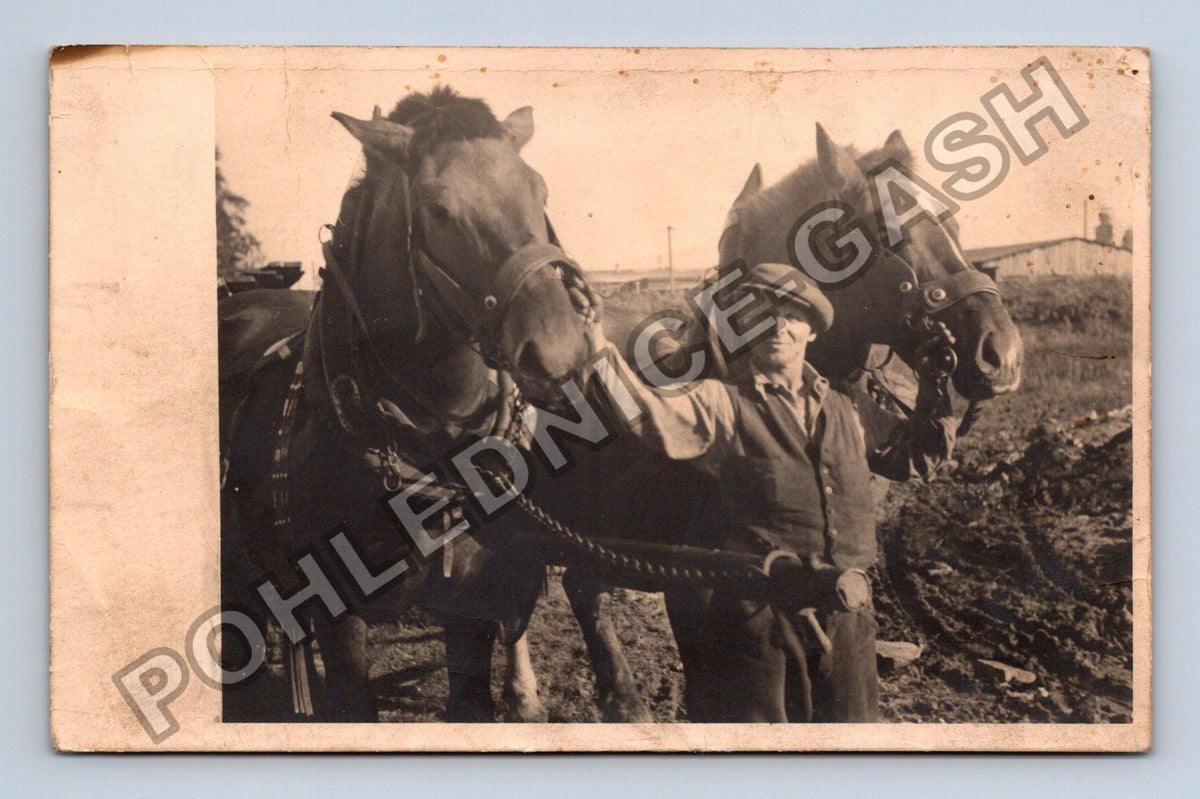 Stará fotografie oráč s párem koní (BM26638)