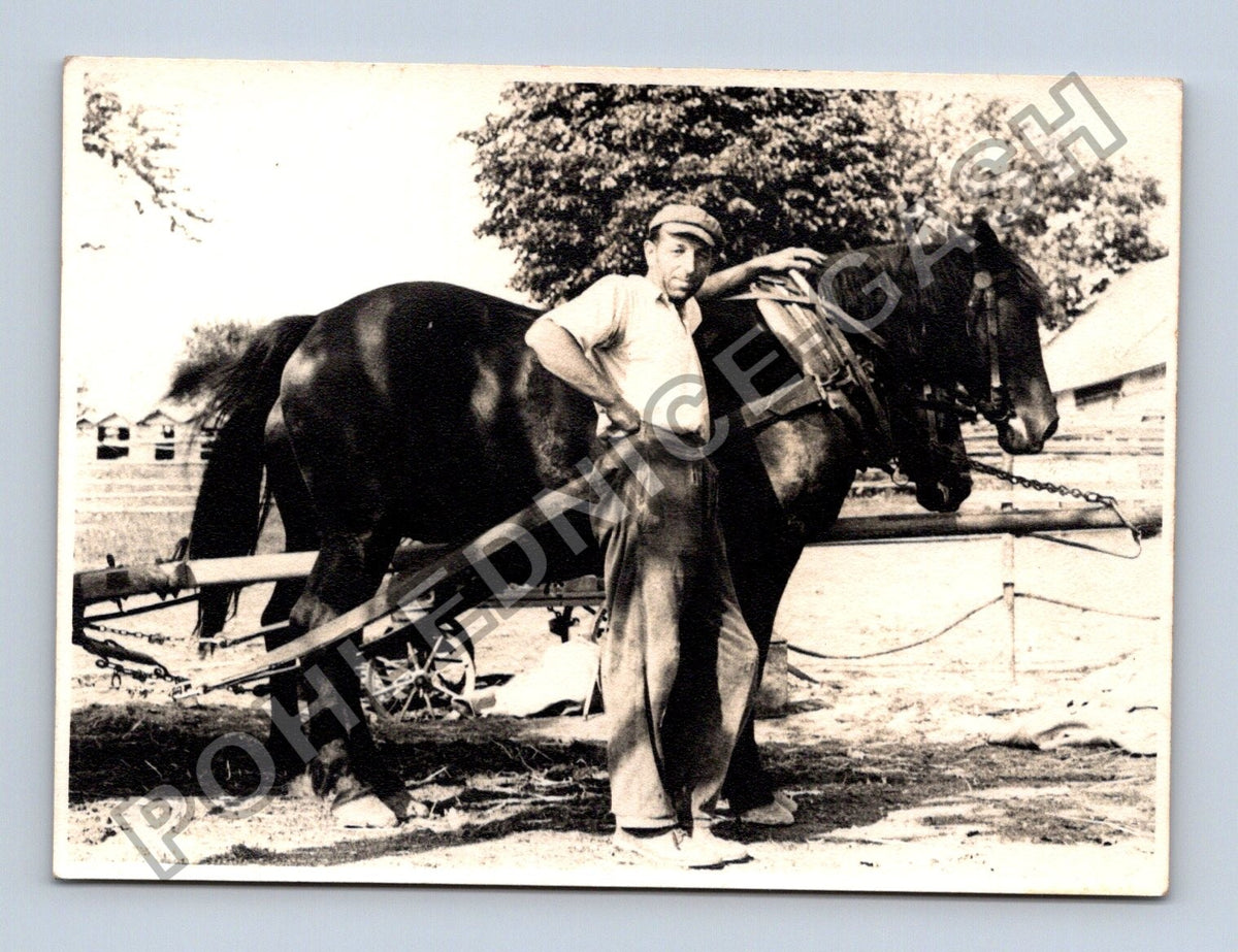 Stará fotografie muž s koněm (BM26640)