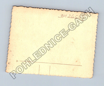 Pohlednice muž s koněm v parku (BM26643)