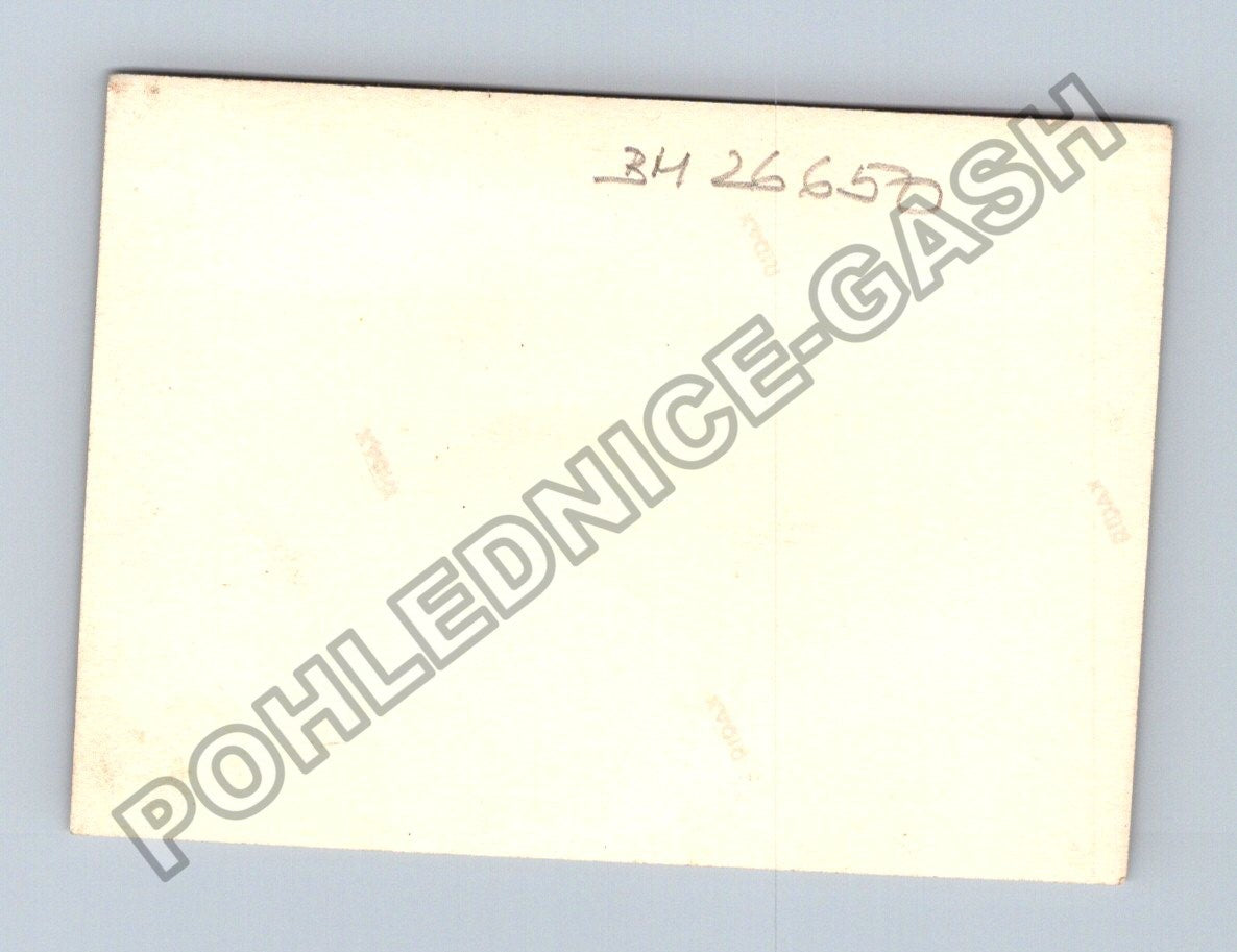 Stará fotografie labuť na cestě před domem (BM26650)