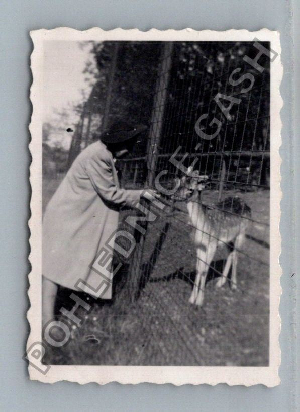 Stará fotografie dítě s klecí a zvířetem (BM26651)