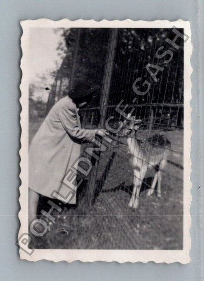 Stará fotografie dítě s klecí a zvířetem (BM26651)