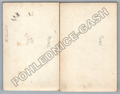 Stará fotografie žena se dvěma miminky v přírodě (BM26657)