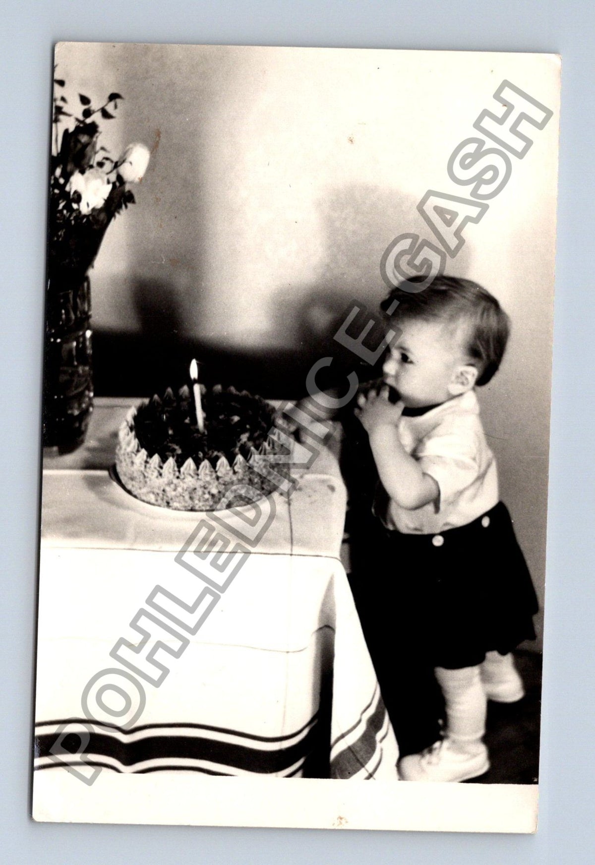 Stará fotografie dítě na stole u dortu (BM26663)