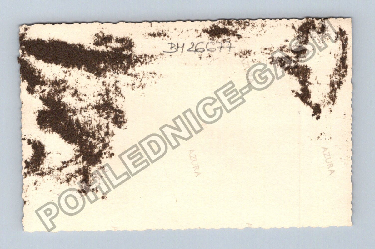 Stará fotografie děti s hračkou venku (BM26677)