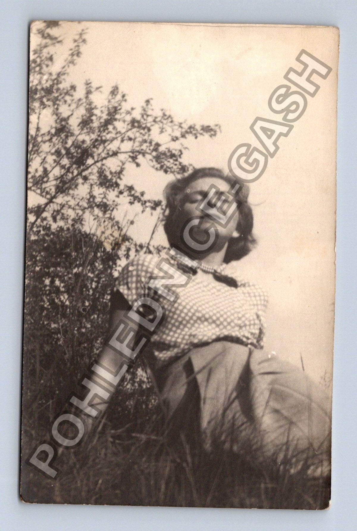 Stará fotografie žena v trávě v přírodě (BM26697)