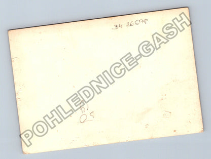 Stará fotografie žena v elegantních šatech (BM26698)