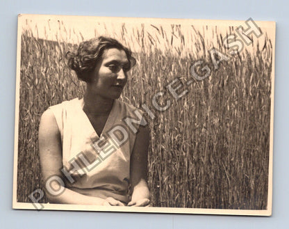 Stará fotografie žena v poli obilí (BM26704)