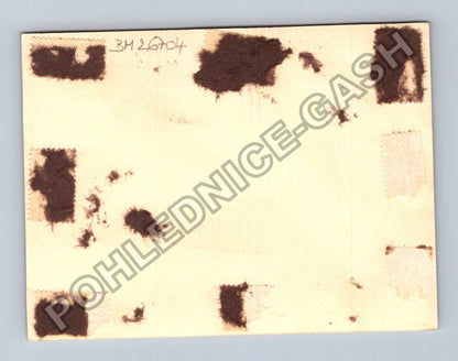 Stará fotografie žena v poli obilí (BM26704)