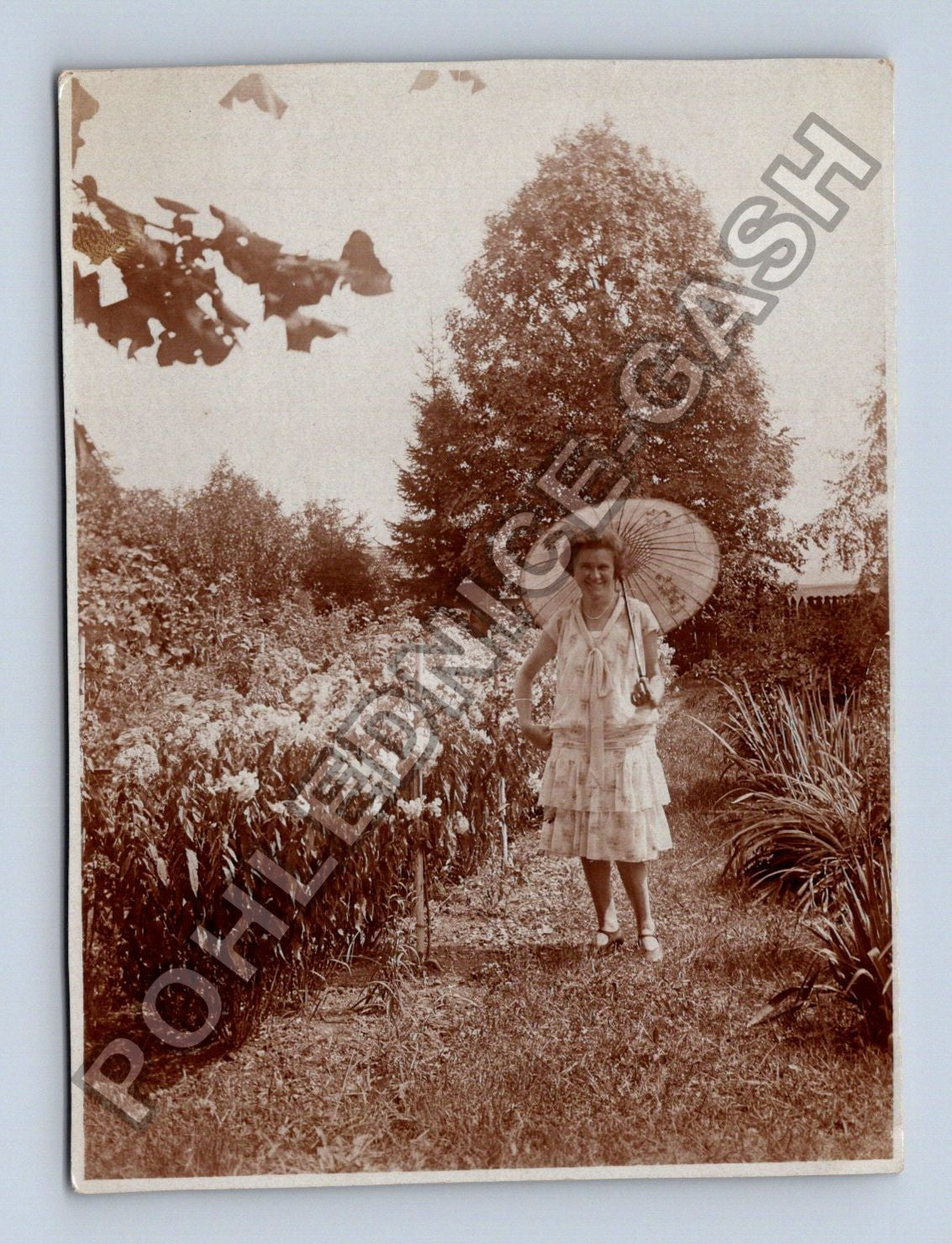 Stará fotografie mladá žena s slunečníkem v zahradě (BM26713)