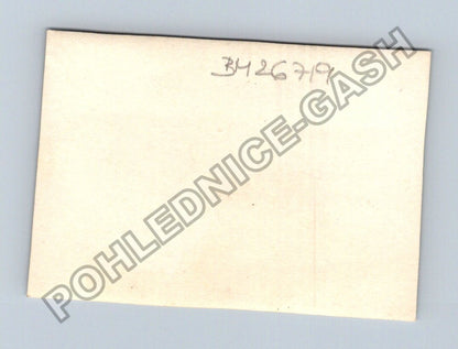 Stará fotografie žena v kabátě v parku u altánu (BM26719)
