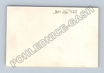 Stará fotografie mladá žena s copy (BM26721)