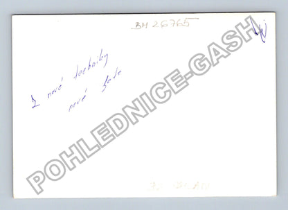 Stará fotografie Bob Dylan s kytarou a harmonikou (BM26765)
