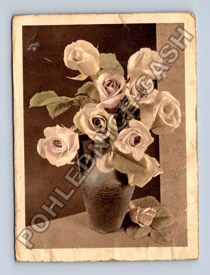 Stará fotografie kytice růží s biblickým citátem (BM26783)