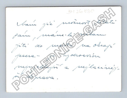 Stará fotografie hydroplán u přístavních doků s majákem (BM26838)