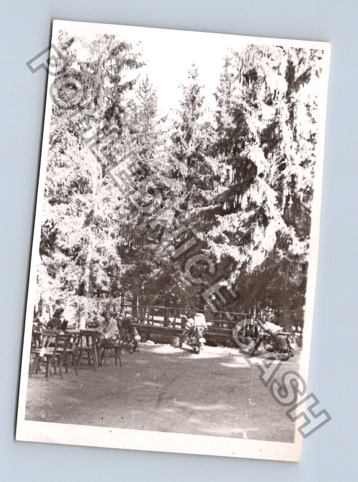 Stará fotografie skupiny lidí u plotu v přírodě (BM26841)