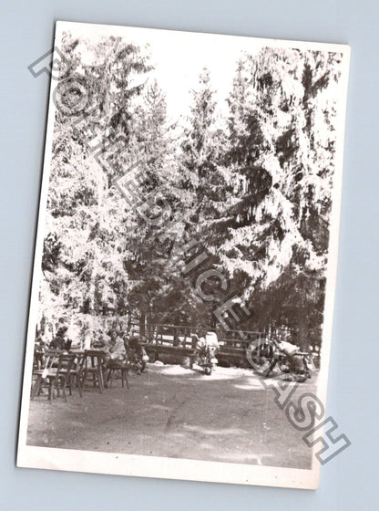Stará fotografie skupiny lidí u plotu v přírodě (BM26841)