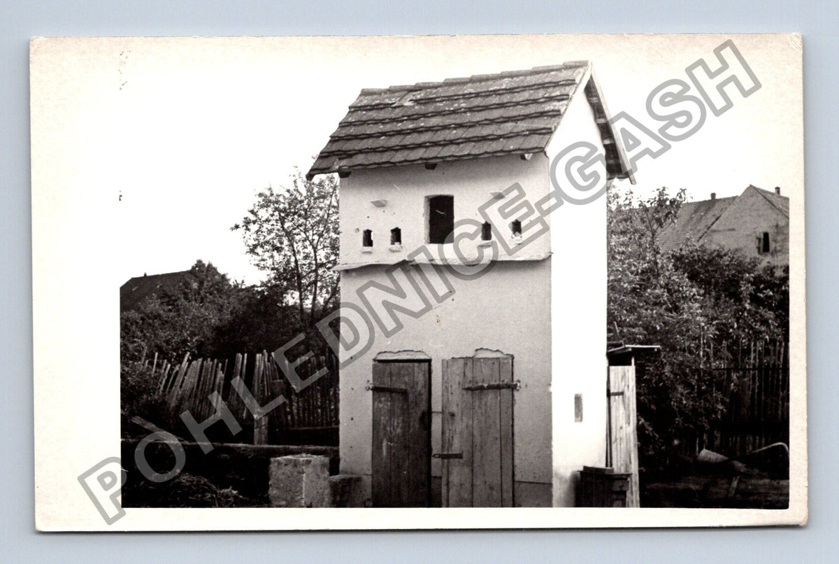 Stará fotografie holubník (BM26863)
