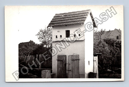 Stará fotografie holubník (BM26863)