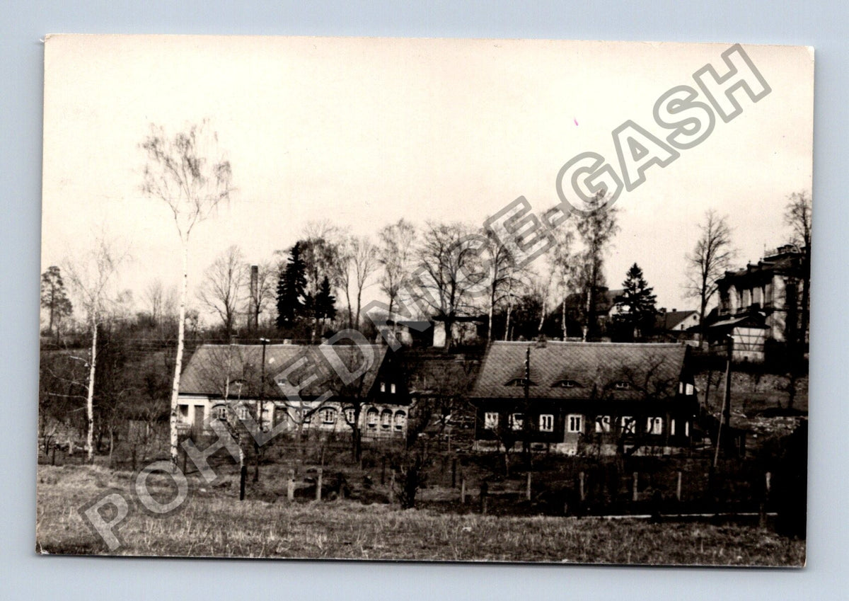 Stará fotografie venkovská zástavba se stromy (BM26866)