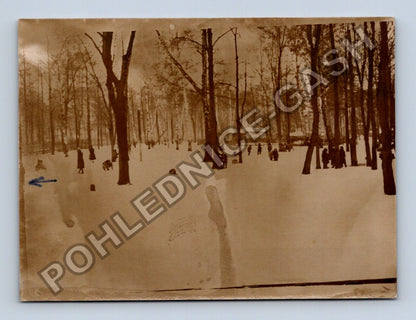 Stará fotografie zimní park s lidmi (BM26869)