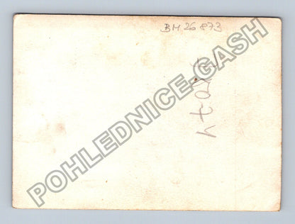 Stará fotografie dvě ženy v šatech (BM26873)