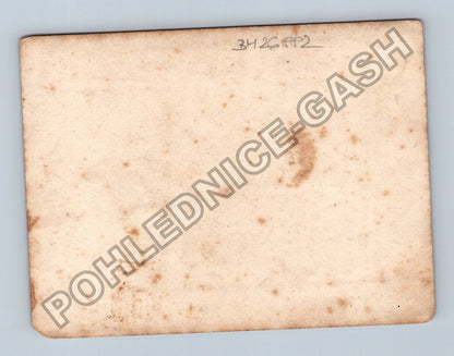 Stará fotografie lesní krajina (BM26882)