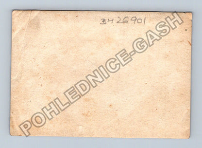 Stará fotografie Horská krajina s jehličnatými stromy (BM26901)