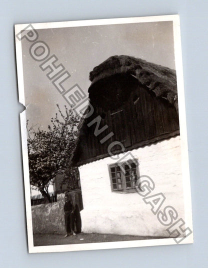 Stará fotografie chalupy s doškovou střechou (BM26922)