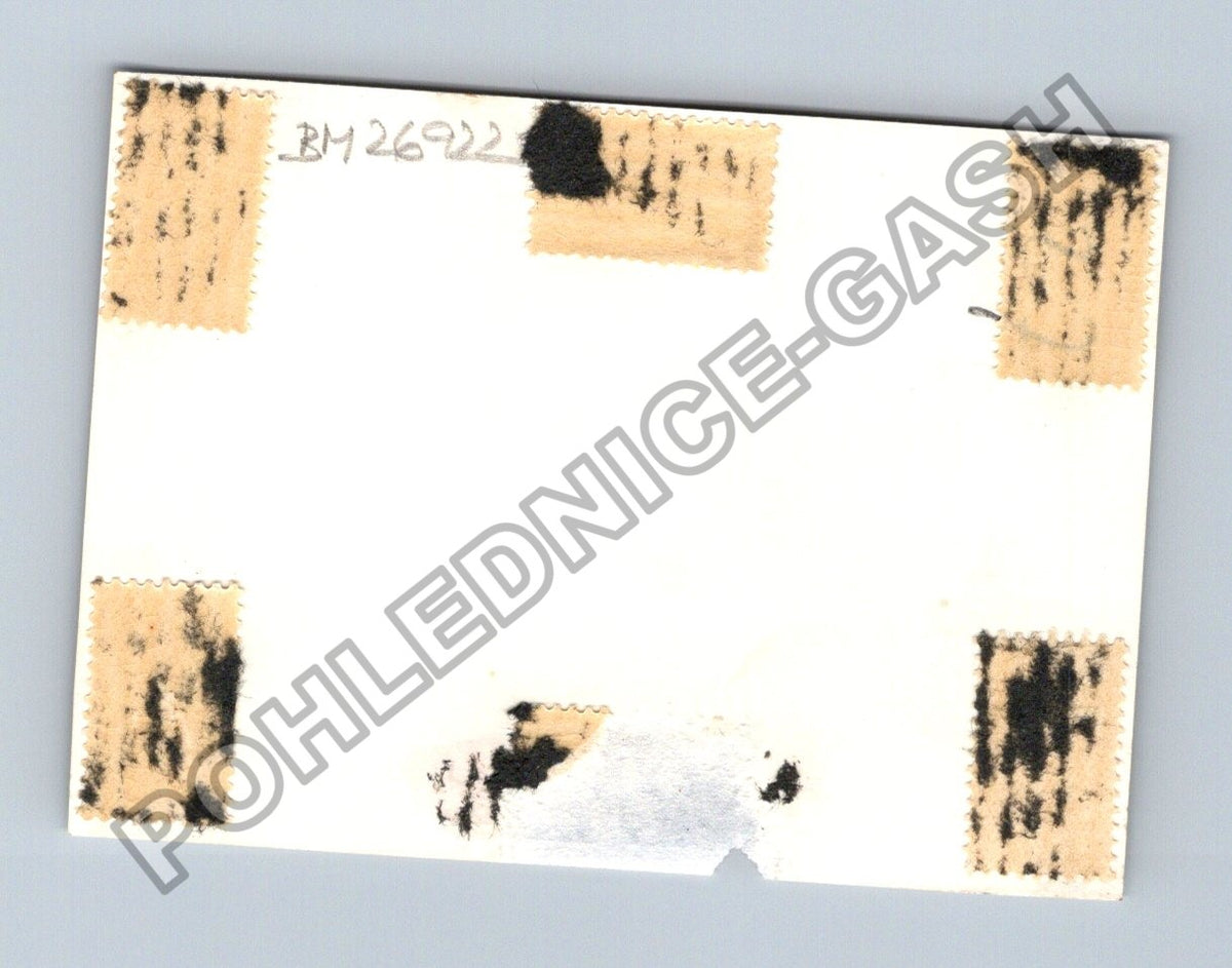 Stará fotografie chalupy s doškovou střechou (BM26922)