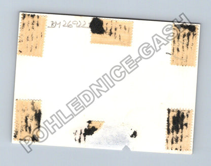 Stará fotografie chalupy s doškovou střechou (BM26922)