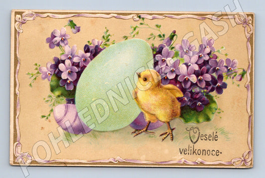 Velikonoční pohlednice kuřátko vajíčka fialky (M10005)