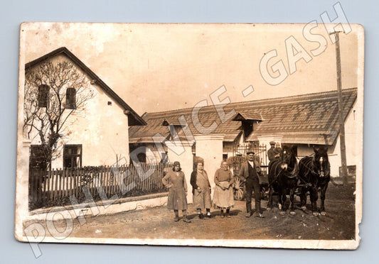 Pohlednice venkov koňský povoz Staré benátky (M10063)
